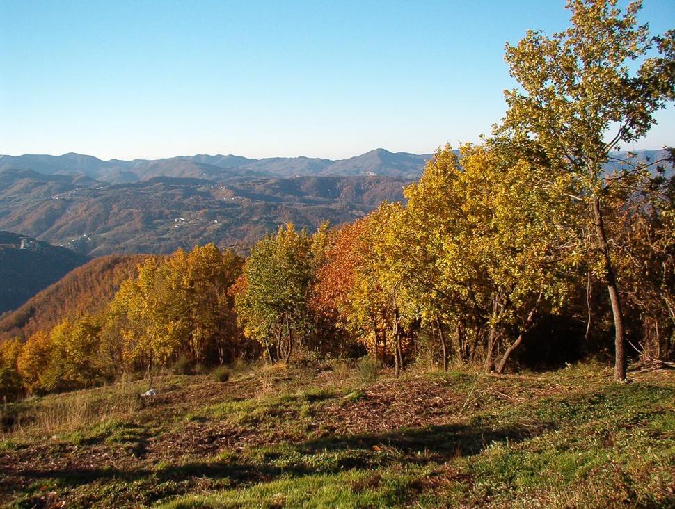 Sat întreg, scos la vânzare în regiunea Toscana din Italia. Cum arată cătunul care costă cât un apartament în nordul Bucureștiului 936220