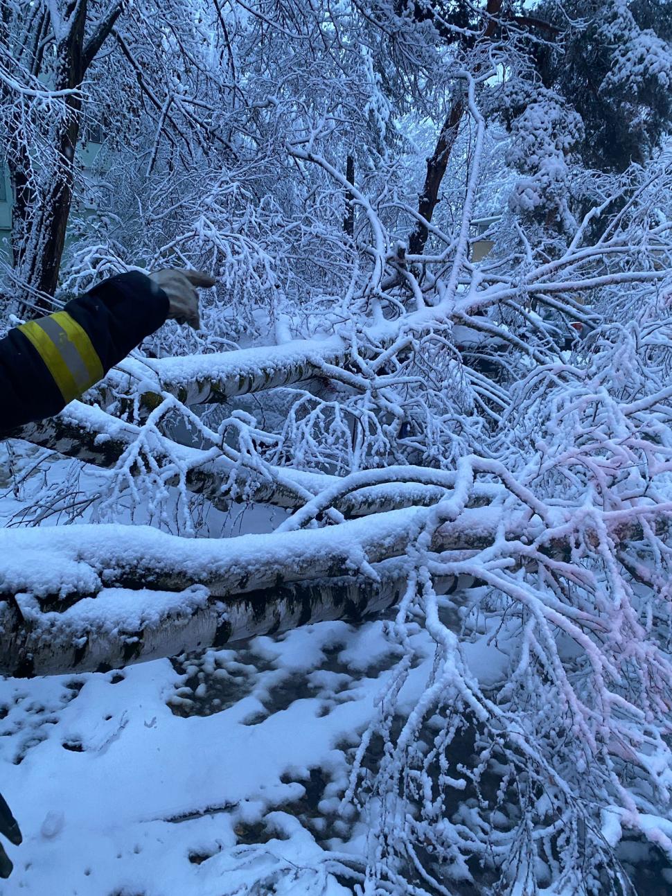 Val de aer polar în România. A nins și s-a depus strat consistent de zăpadă. Imagini din Brașov, Cluj, Neamț 936869