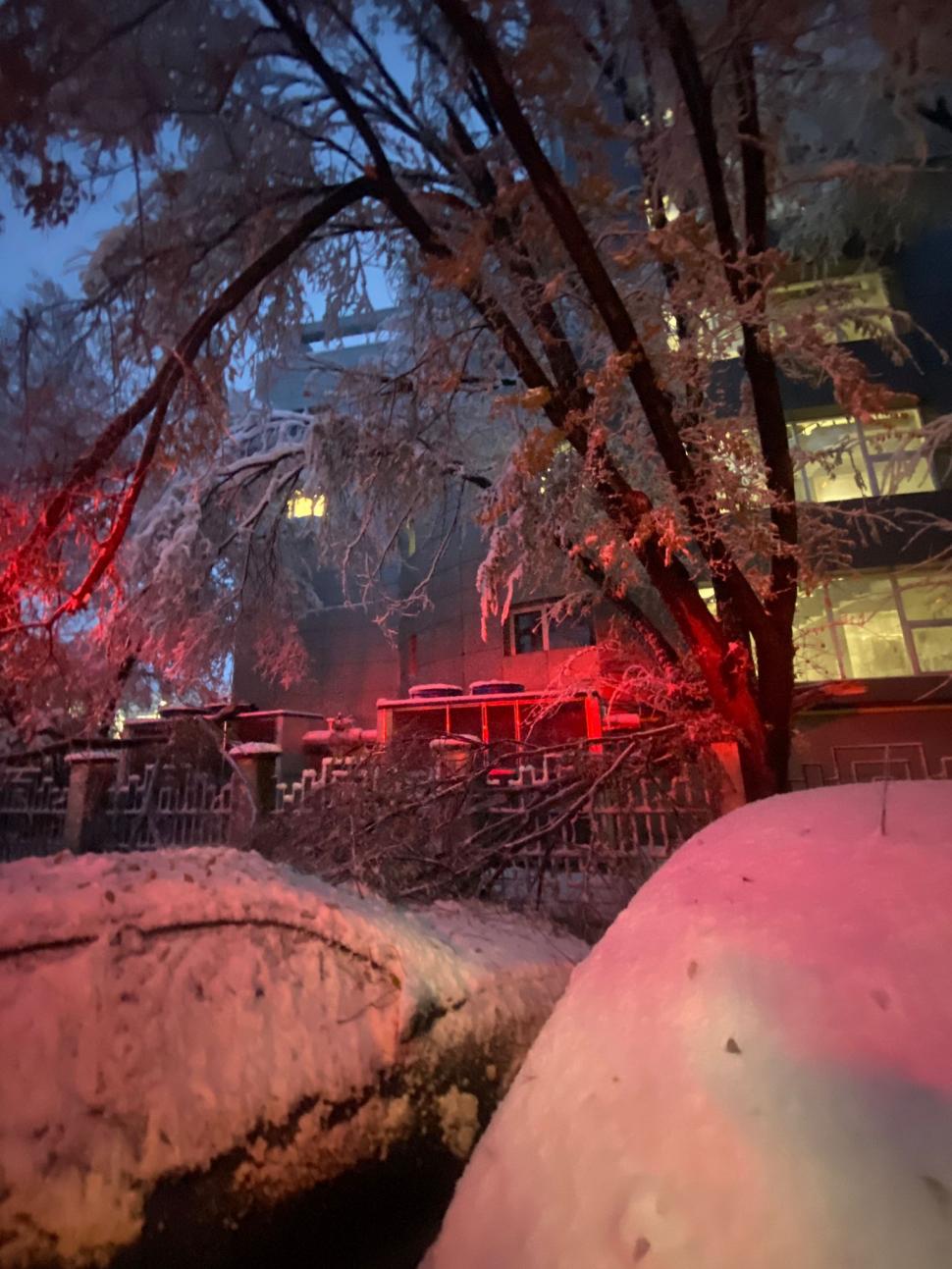 Val de aer polar în România. A nins și s-a depus strat consistent de zăpadă. Imagini din Brașov, Cluj, Neamț 936871