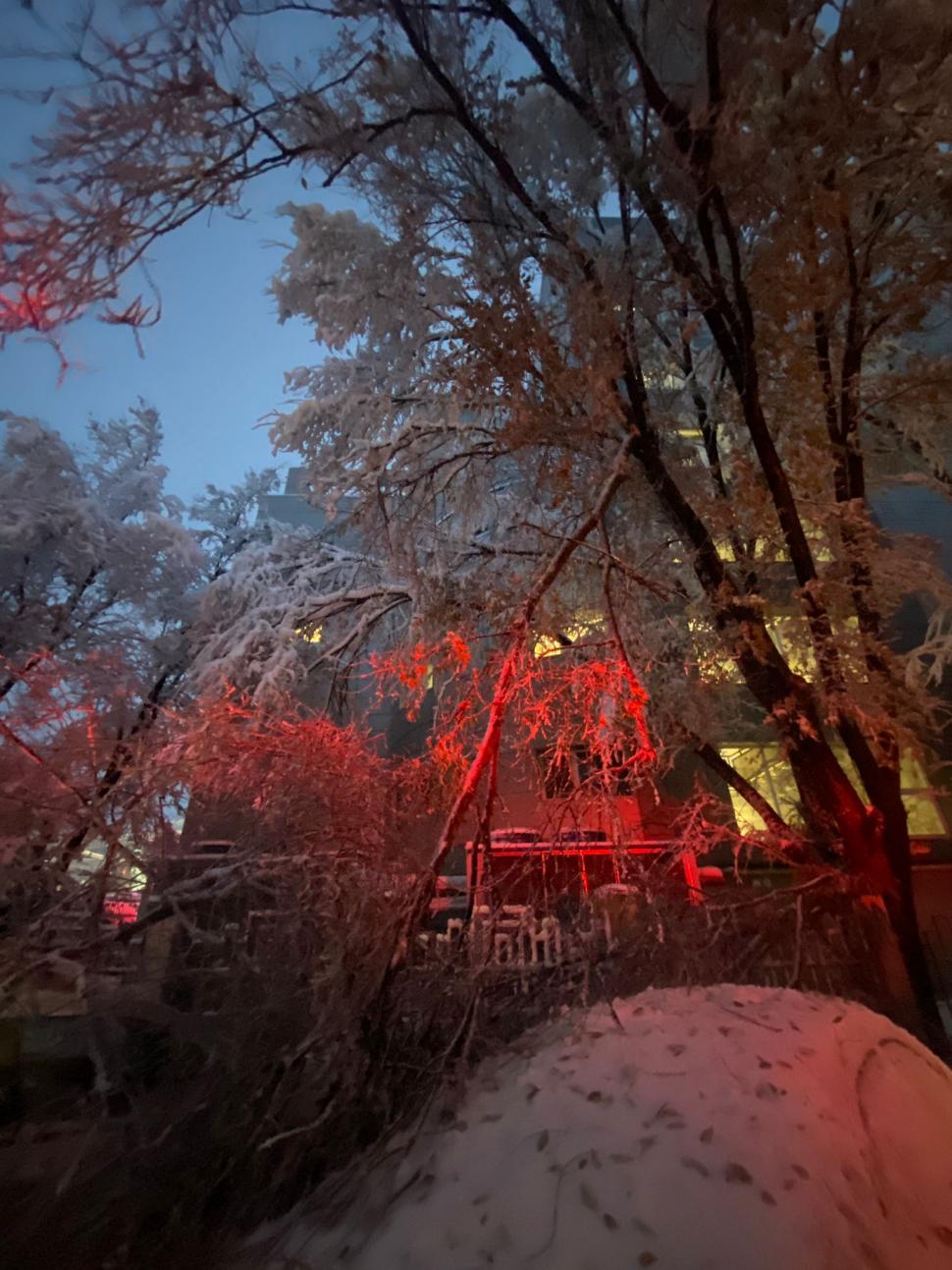 Val de aer polar în România. A nins și s-a depus strat consistent de zăpadă. Imagini din Brașov, Cluj, Neamț 936872