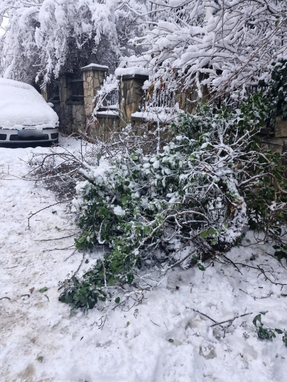 Val de aer polar în România. A nins și s-a depus strat consistent de zăpadă. Imagini din Brașov, Cluj, Neamț 936875