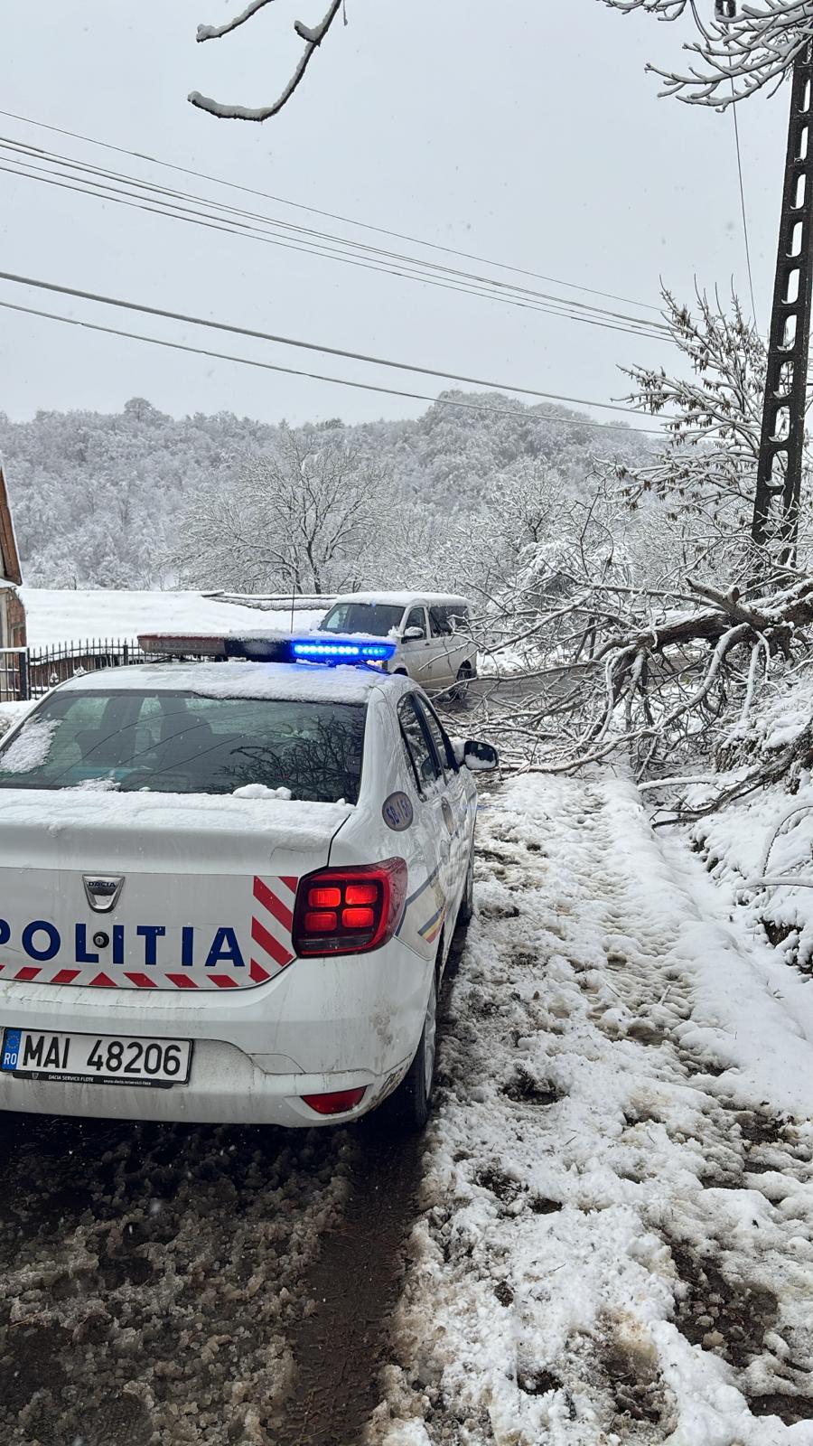 Val de aer polar în România. A nins și s-a depus strat consistent de zăpadă. Imagini din Brașov, Cluj, Neamț 936882