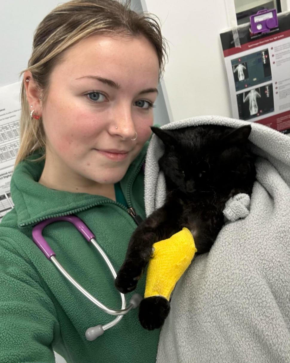 Aventurile unei pisici curioase care a rămas cu capul blocat într-o țeavă de scurgere 937601