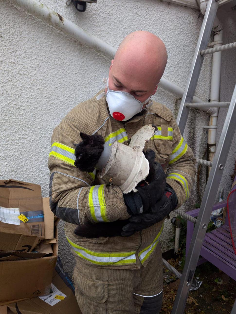 Aventurile unei pisici curioase care a rămas cu capul blocat într-o țeavă de scurgere 937602