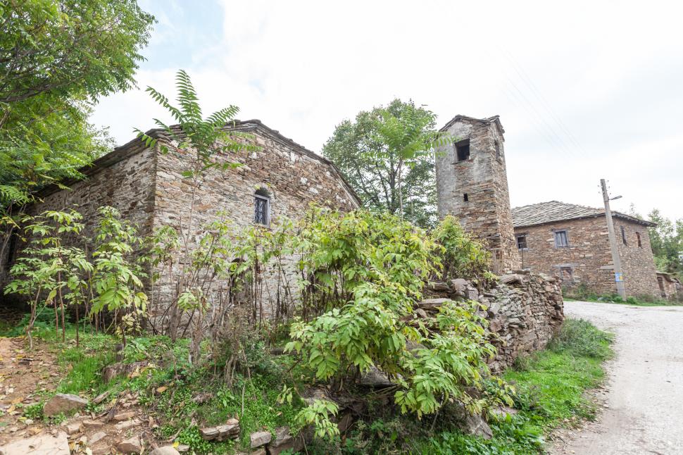 Marele abandon: Cum arată lumea după ce oamenii dispar 938121