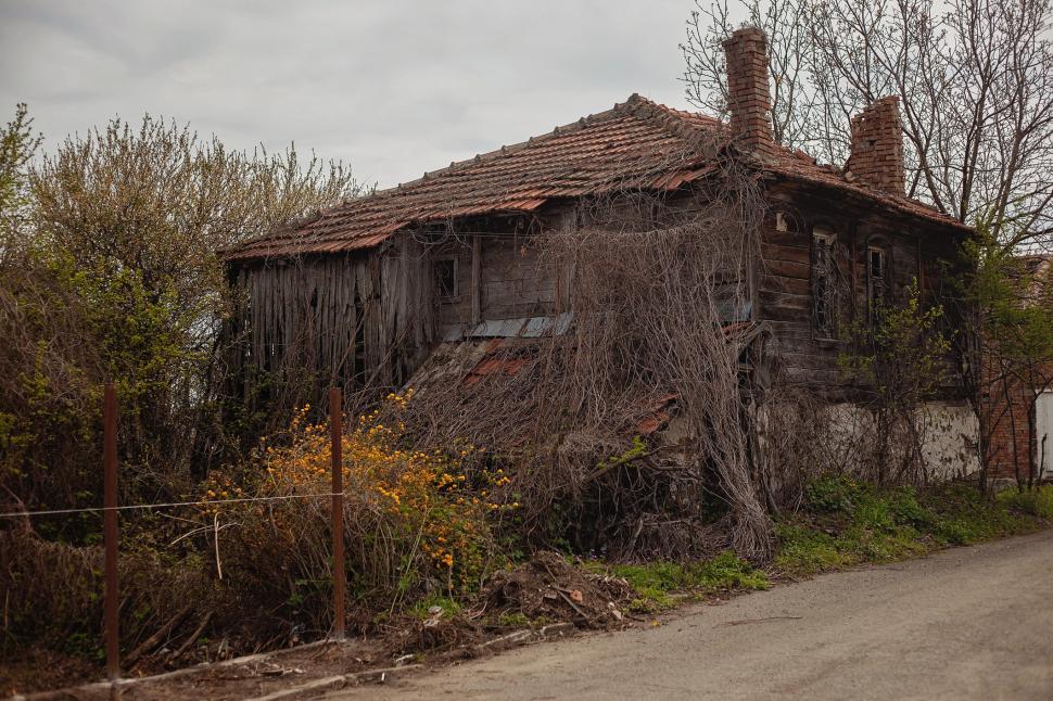 Marele abandon: Cum arată lumea după ce oamenii dispar 938122