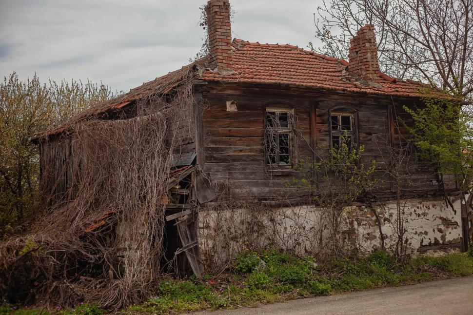 Marele abandon: Cum arată lumea după ce oamenii dispar 938123