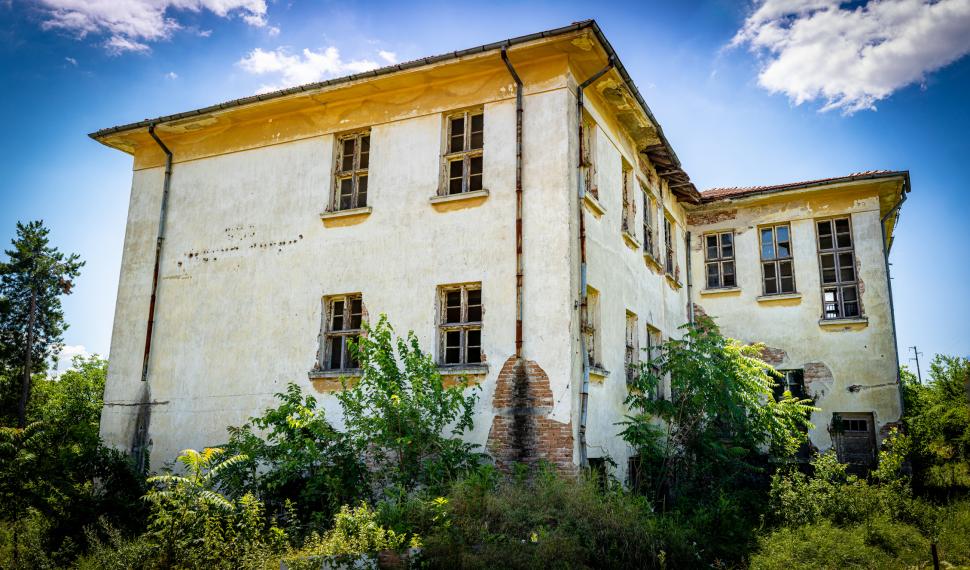 Marele abandon: Cum arată lumea după ce oamenii dispar 938124