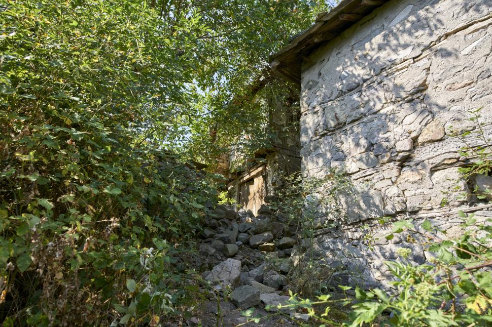 Marele abandon: Cum arată lumea după ce oamenii dispar 938126