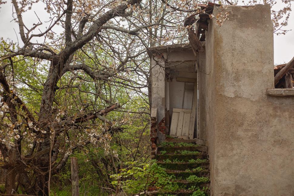 Marele abandon: Cum arată lumea după ce oamenii dispar 938127