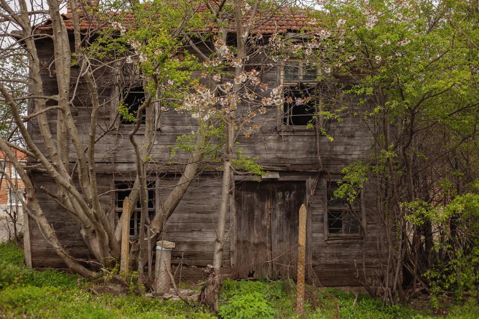 Marele abandon: Cum arată lumea după ce oamenii dispar 938128