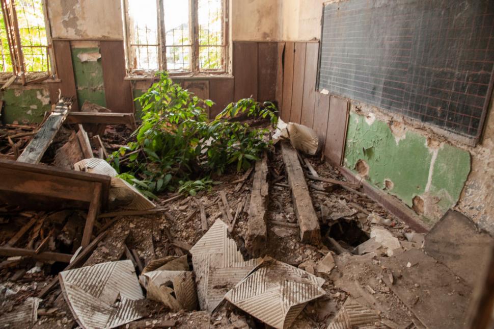 Marele abandon: Cum arată lumea după ce oamenii dispar 938130