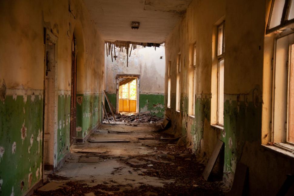 Marele abandon: Cum arată lumea după ce oamenii dispar 938131