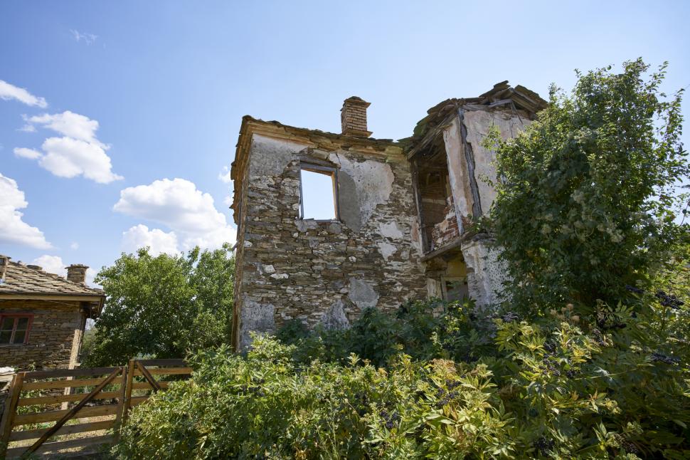 Marele abandon: Cum arată lumea după ce oamenii dispar 938132