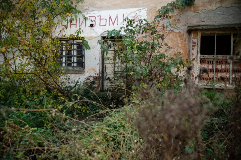 Marele abandon: Cum arată lumea după ce oamenii dispar 938133