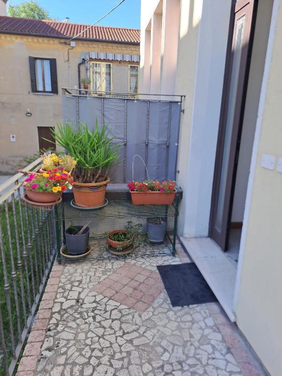 Cum a ajuns o familie de romi stăpână pe un apartament închiriat pe Booking. Nici Poliția nu îi poate da afară 938564