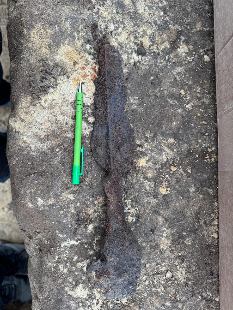 Descoperire arheologică rară: Artefacte valoroase, vechi de 1.500 de ani, au fost găsite sub casa unei căpetenii din Epoca Fierului 938814