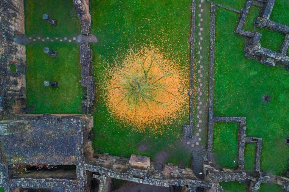 La prima vedere, nimeni nu-și dă seama ce este în fotografie. Dar o altă imagine lămurește misterul 939497