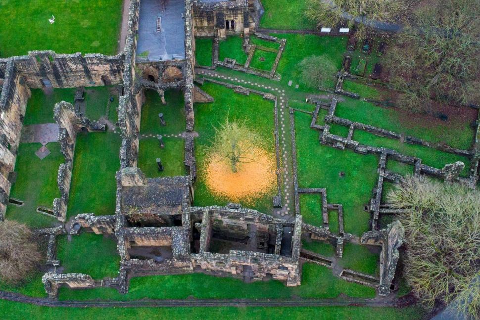 La prima vedere, nimeni nu-și dă seama ce este în fotografie. Dar o altă imagine lămurește misterul 939498