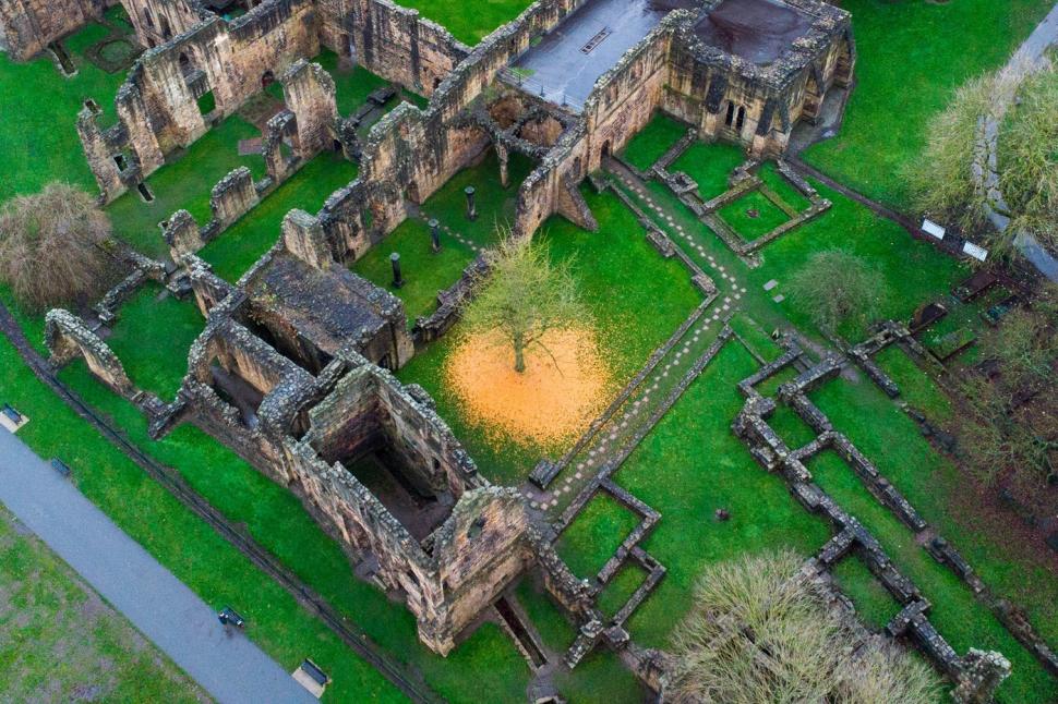 La prima vedere, nimeni nu-și dă seama ce este în fotografie. Dar o altă imagine lămurește misterul 939500