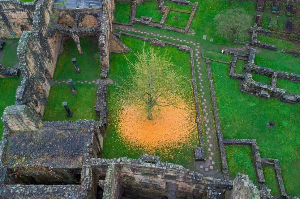 La prima vedere, nimeni nu-și dă seama ce este în fotografie. Dar o altă imagine lămurește misterul 939501