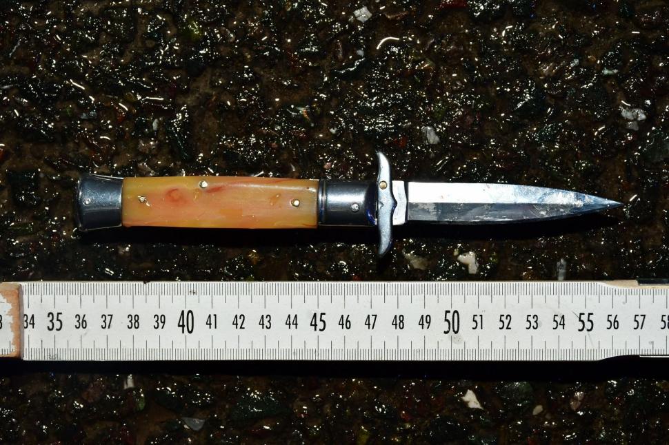 Șeful mercenarilor care îl păzesc pe Călin Georgescu a fost reținut. Surse: Rețeaua lui Horațiu Potra plănuia atacuri în București 939841