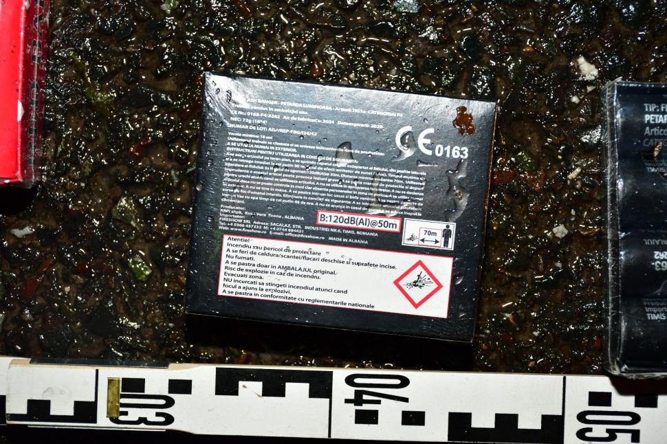 Șeful mercenarilor care îl păzesc pe Călin Georgescu a fost reținut. Surse: Rețeaua lui Horațiu Potra plănuia atacuri în București 939847