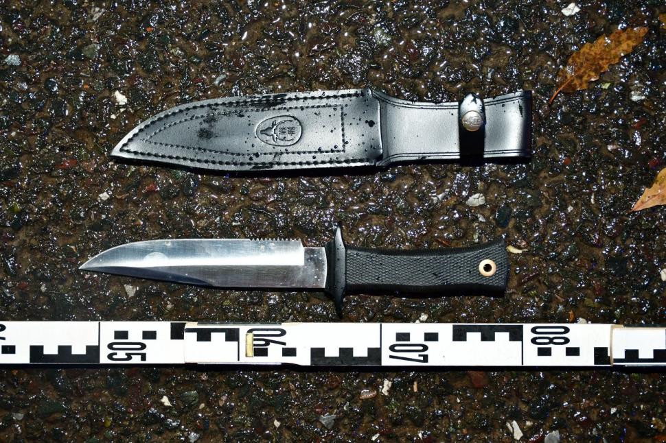 Șeful mercenarilor care îl păzesc pe Călin Georgescu a fost reținut. Surse: Rețeaua lui Horațiu Potra plănuia atacuri în București 939852