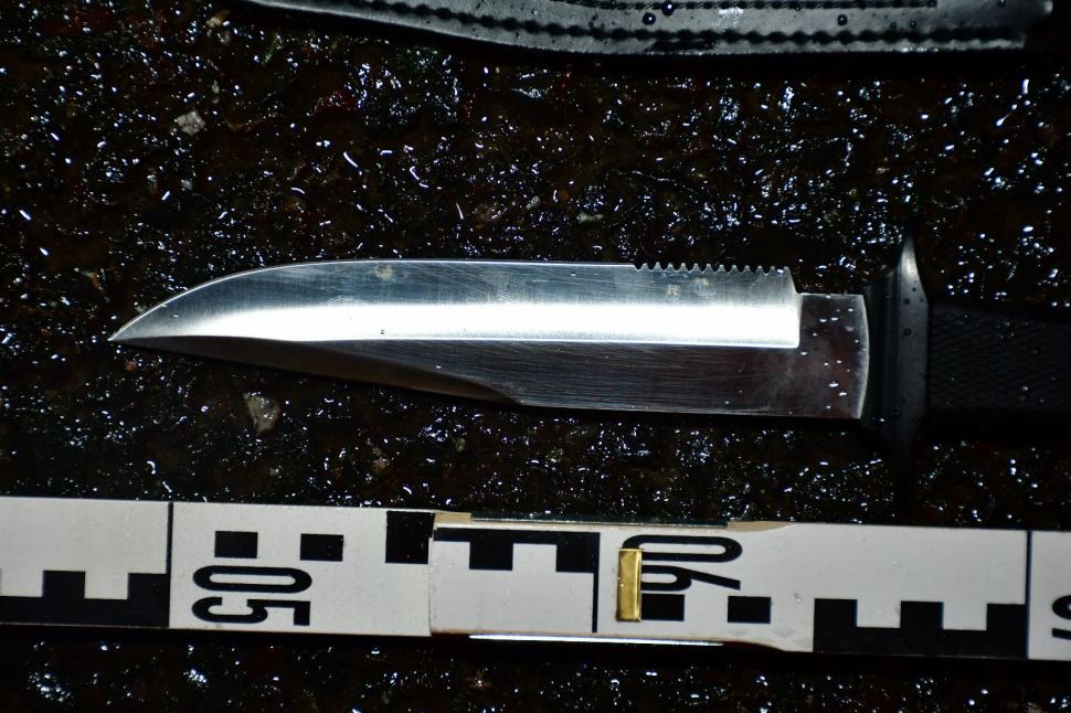 Șeful mercenarilor care îl păzesc pe Călin Georgescu a fost reținut. Surse: Rețeaua lui Horațiu Potra plănuia atacuri în București 939855