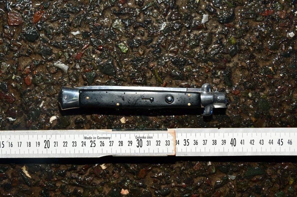 Șeful mercenarilor care îl păzesc pe Călin Georgescu a fost reținut. Surse: Rețeaua lui Horațiu Potra plănuia atacuri în București 939873