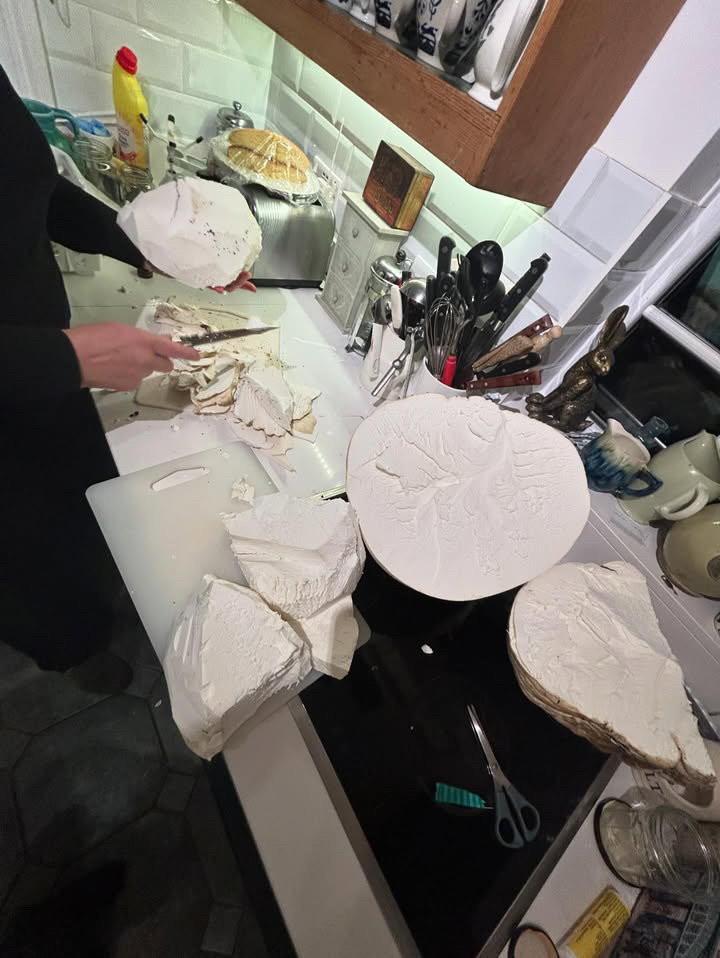 O femeie a găsit pe câmp o ciupercă uriașă. Familia ei a mâncat o săptămână din ea și tot nu s-a terminat 941174