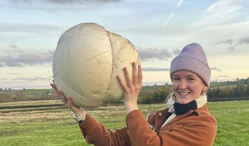 O femeie a găsit pe câmp o ciupercă uriașă. Familia ei a mâncat o săptămână din ea și tot nu s-a terminat 941177