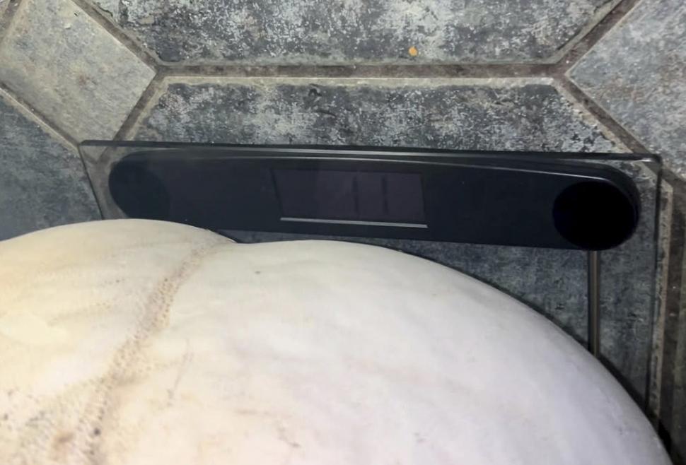 O femeie a găsit pe câmp o ciupercă uriașă. Familia ei a mâncat o săptămână din ea și tot nu s-a terminat 941178