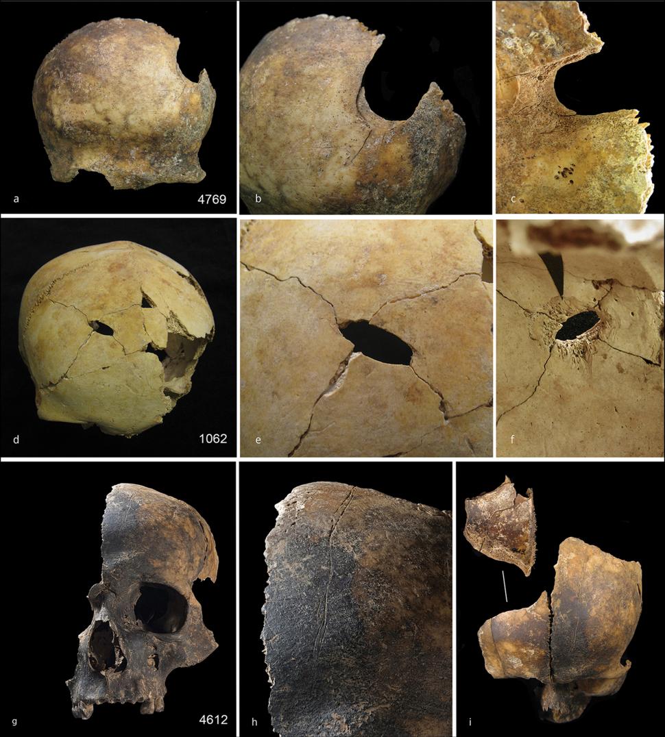 Descoperire arheologică șocantă. Cercetătorii au fost oripilați de dovezile canibalismului din epoca bronzului: „Ceva oribil” 941336