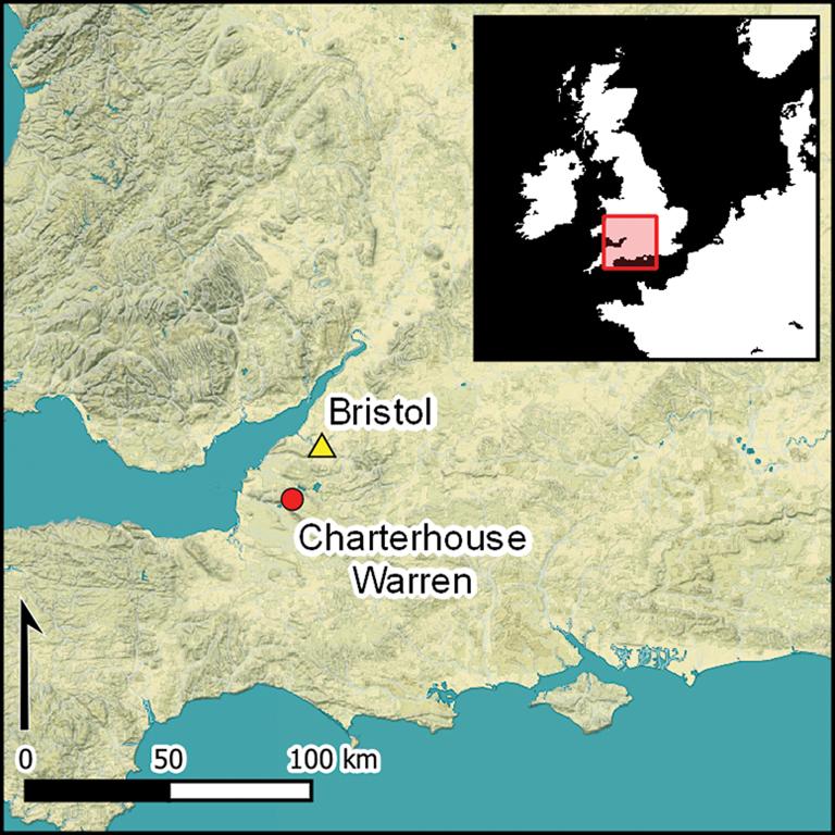 Descoperire arheologică șocantă. Cercetătorii au fost oripilați de dovezile canibalismului din epoca bronzului: „Ceva oribil” 941337