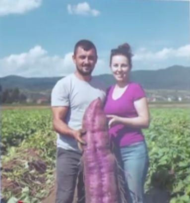 Mii de imagini false pe internet încearcă să ațâțe nemulțumirea românilor, după campania pro-rușilor pe TikTok și anularea alegerilor 942205