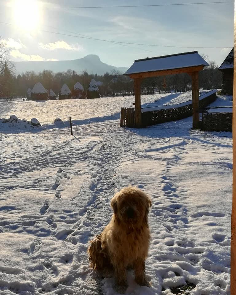 Ce locuri poți să vizitezi în Maramureș dacă mergi de Crăciun sau Revelion în 2024. Cele mai frumoase obiective turistice iarna 941701