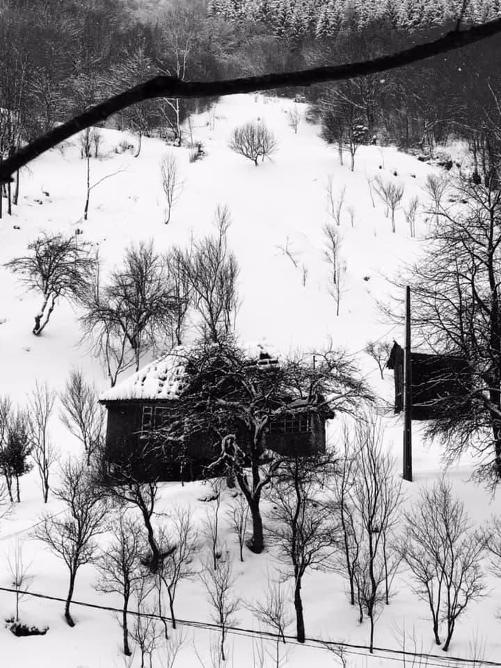 Imagini artistice cu mocănița din Maramureș iarna. Turiștii au rezervat deja locuri în tren pentru acest Crăciun: Cât costă un bilet 941899