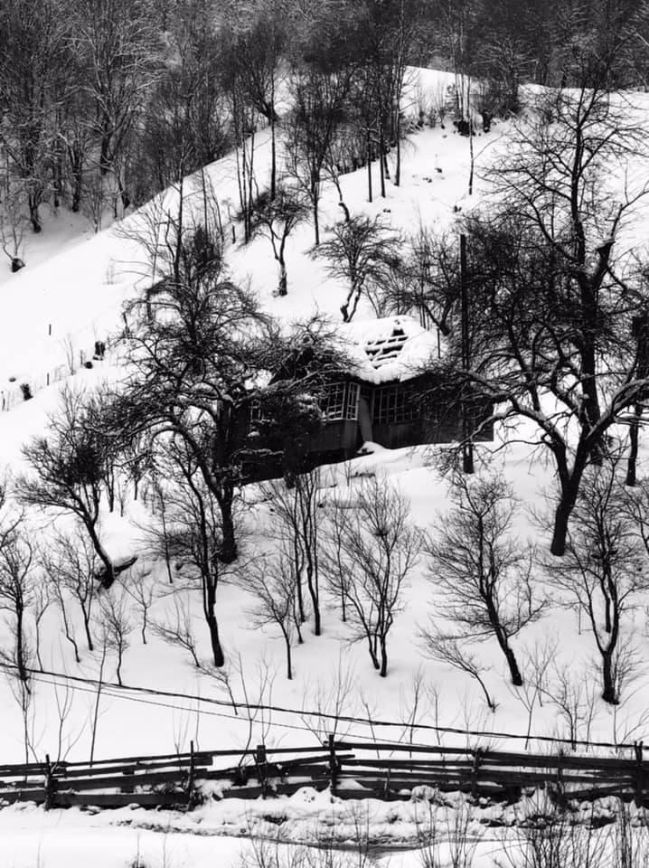 Imagini artistice cu mocănița din Maramureș iarna. Turiștii au rezervat deja locuri în tren pentru acest Crăciun: Cât costă un bilet 941900