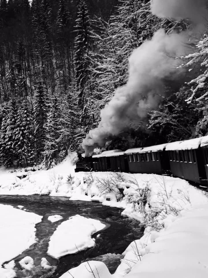 Imagini artistice cu mocănița din Maramureș iarna. Turiștii au rezervat deja locuri în tren pentru acest Crăciun: Cât costă un bilet 941903