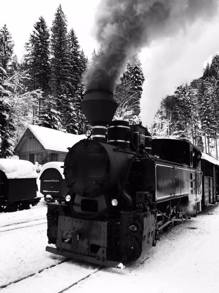 Imagini artistice cu mocănița din Maramureș iarna. Turiștii au rezervat deja locuri în tren pentru acest Crăciun: Cât costă un bilet 941912