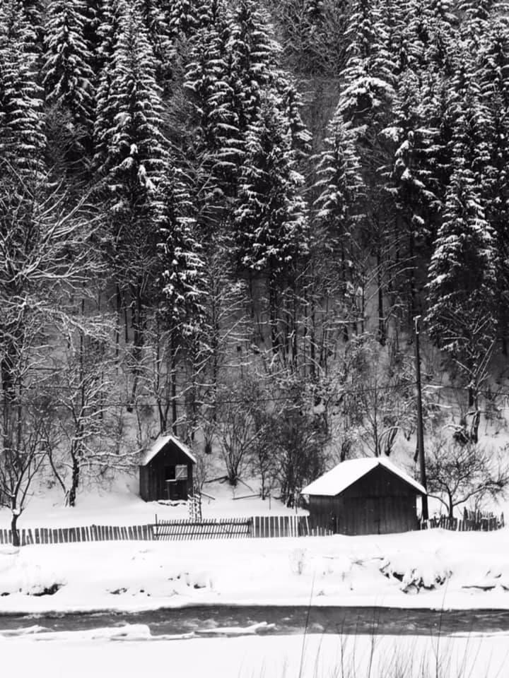 Imagini artistice cu mocănița din Maramureș iarna. Turiștii au rezervat deja locuri în tren pentru acest Crăciun: Cât costă un bilet 941915