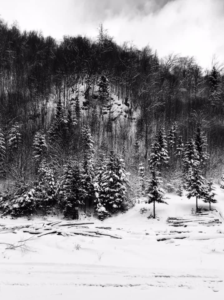 Imagini artistice cu mocănița din Maramureș iarna. Turiștii au rezervat deja locuri în tren pentru acest Crăciun: Cât costă un bilet 941917