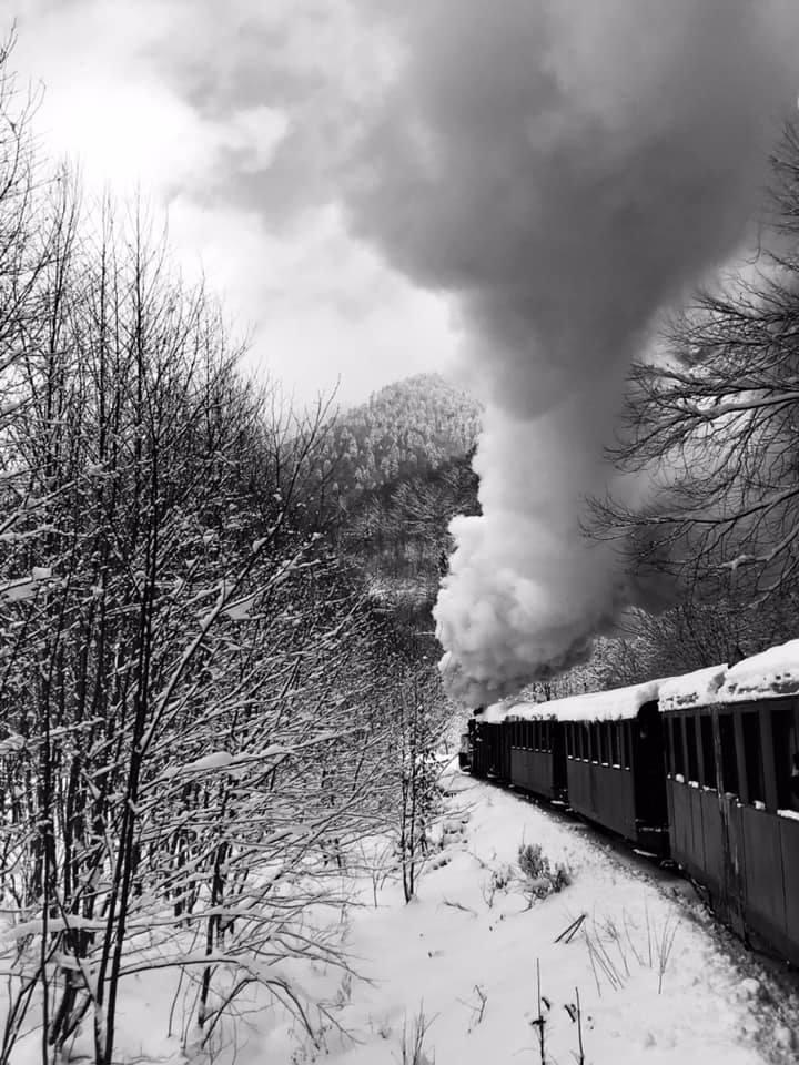 Imagini artistice cu mocănița din Maramureș iarna. Turiștii au rezervat deja locuri în tren pentru acest Crăciun: Cât costă un bilet 941918