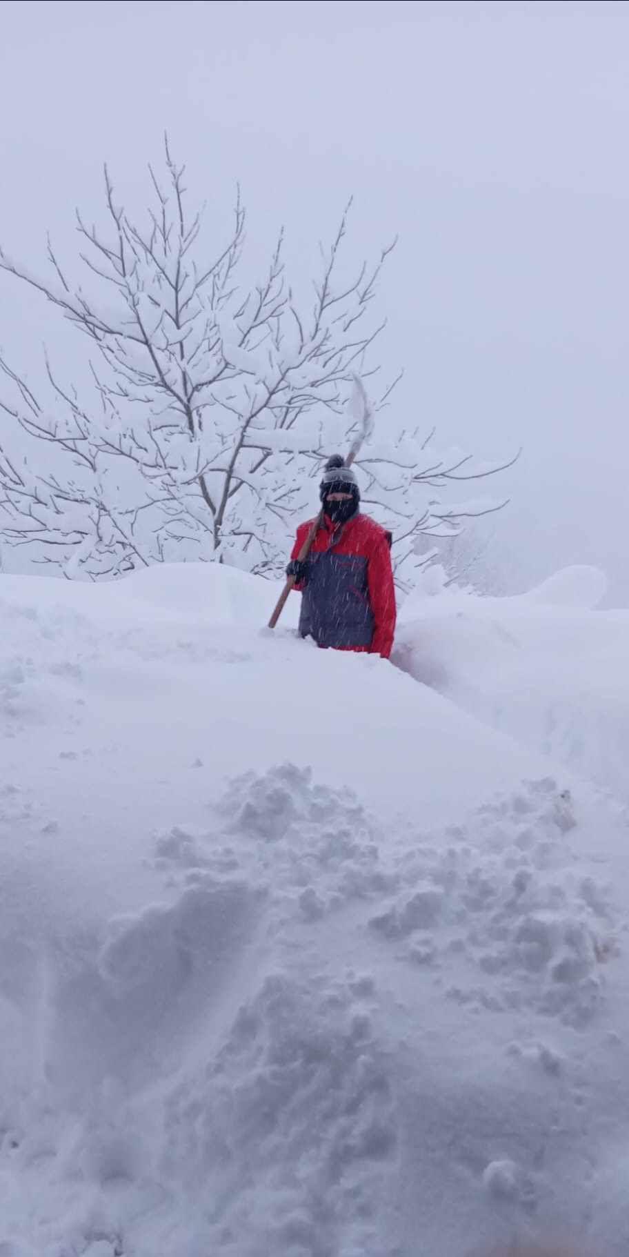 Bosnia și Herțegovina: Sute de mii de case fără electricitate și un oraș blocat de zăpezi de 2 metri. Cod roșu în vestul Serbiei 943005