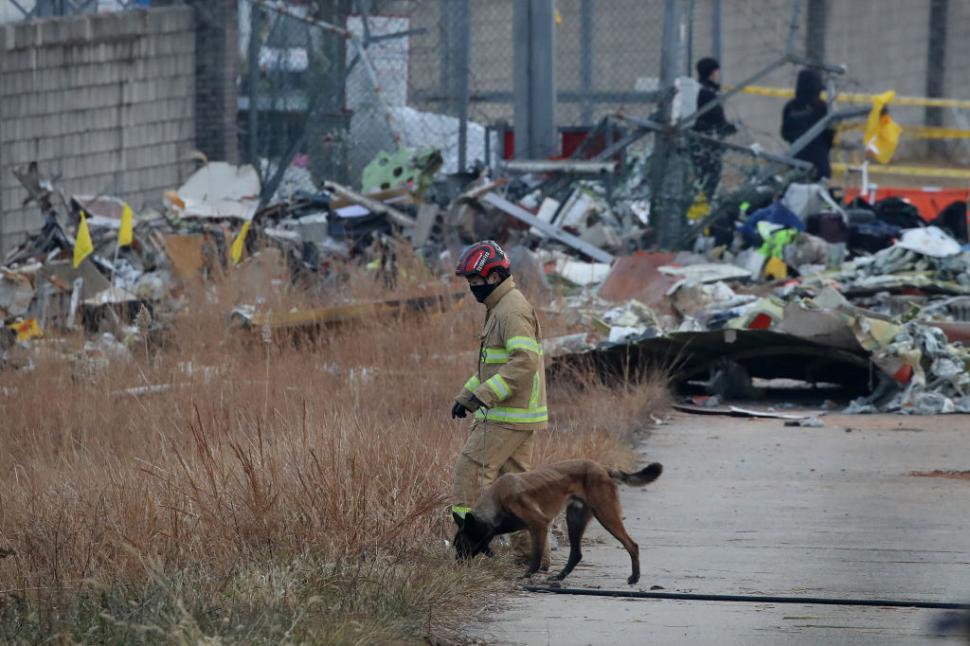 Imagini cutremurătoare, după accidentul aviatic din Coreea de Sud: 179 de oameni au murit după ce avionul Jeju Air 2216 s-a prăbușit 943600