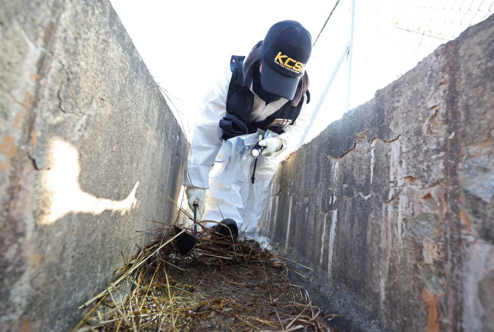 Percheziții la aeroportul din Muan, în Coreea de Sud, după prăbuşirea avionului Jeju Air 2216 care a ucis 179 de persoane 944004