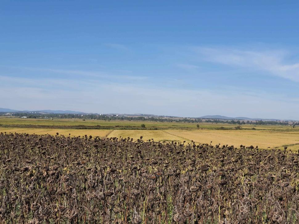 Descoperire arheologică importantă: A fost găsit locul pierdut al bătăliei celebre a lui Alexandru cel Mare împotriva perșilor antici 944109