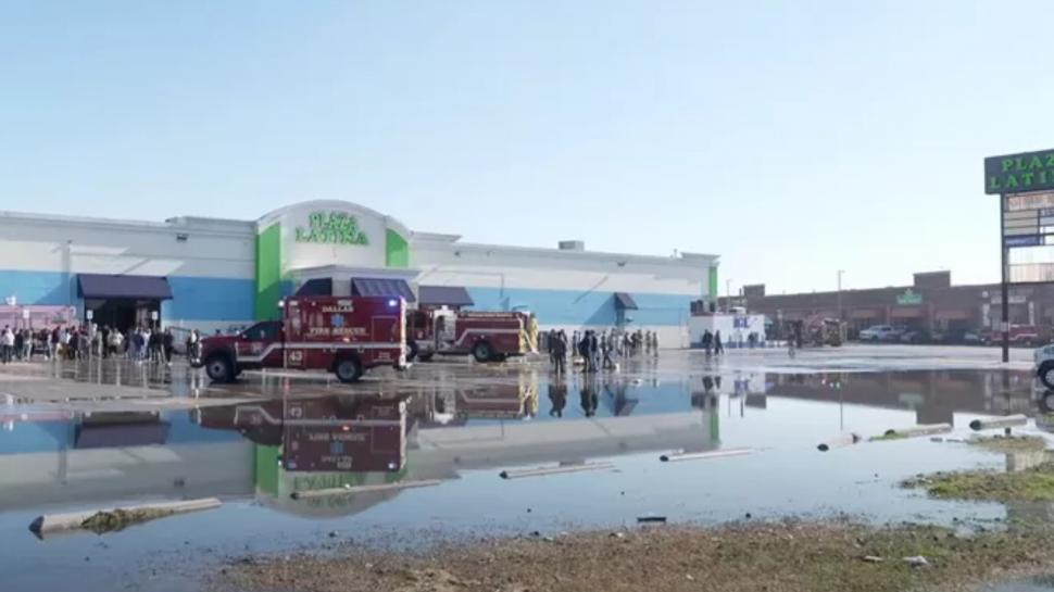 Peste 500 de animale au murit într-un incendiu la un centru comercial din Dallas 944432