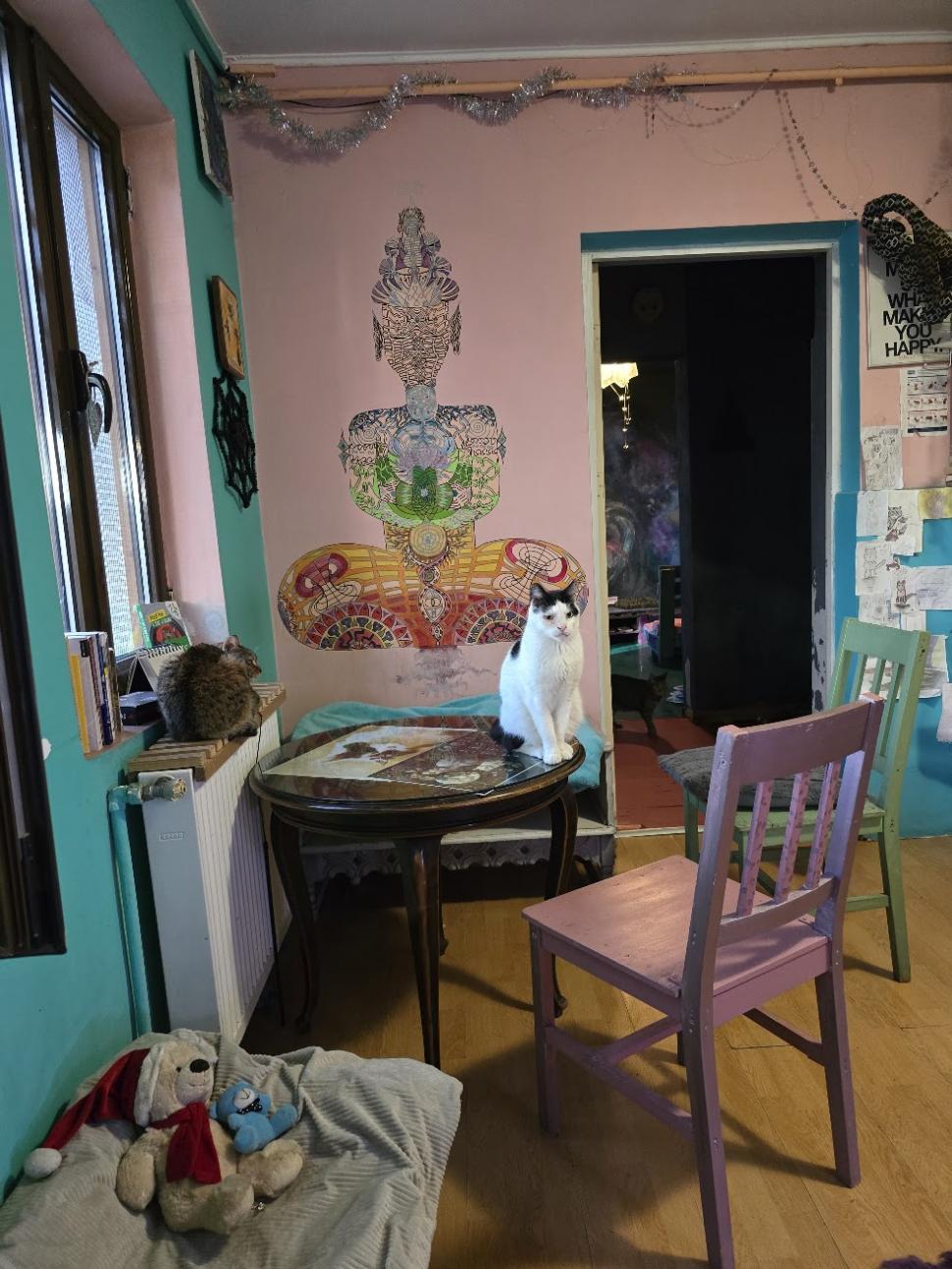 Cafenele neobișnuite din București. Unde îţi bei cafeaua lângă pisici pufoase sau lângă şerpii Megatron şi Olaf şi tarantula Roza 945520